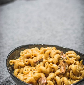 Pasta with white sauce and mushrooms in blue bowl
