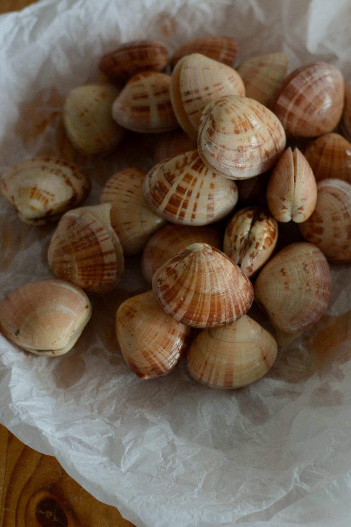 Clams - Food Photography - thespiceadventuress.com