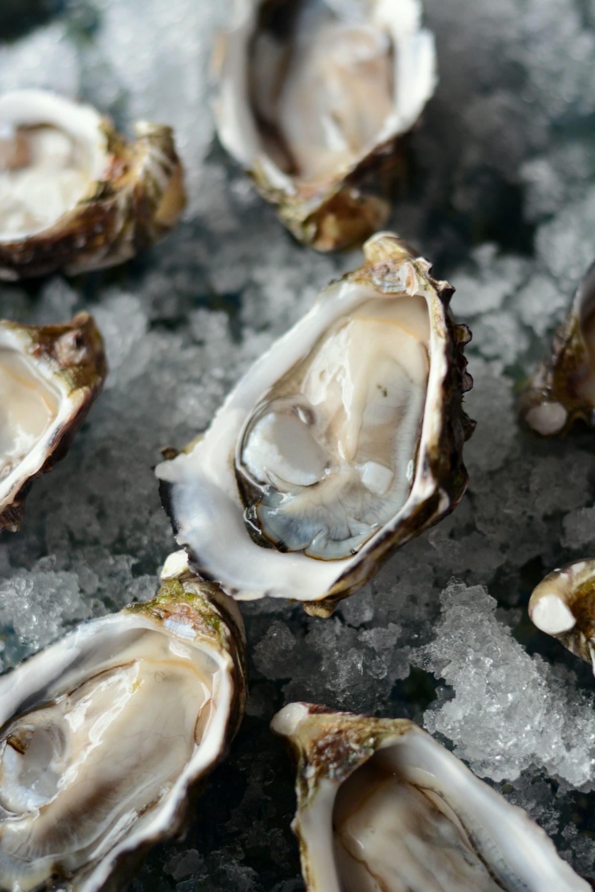 Freshly shucked oysters - food photography & styling - thespiceadventuress.com