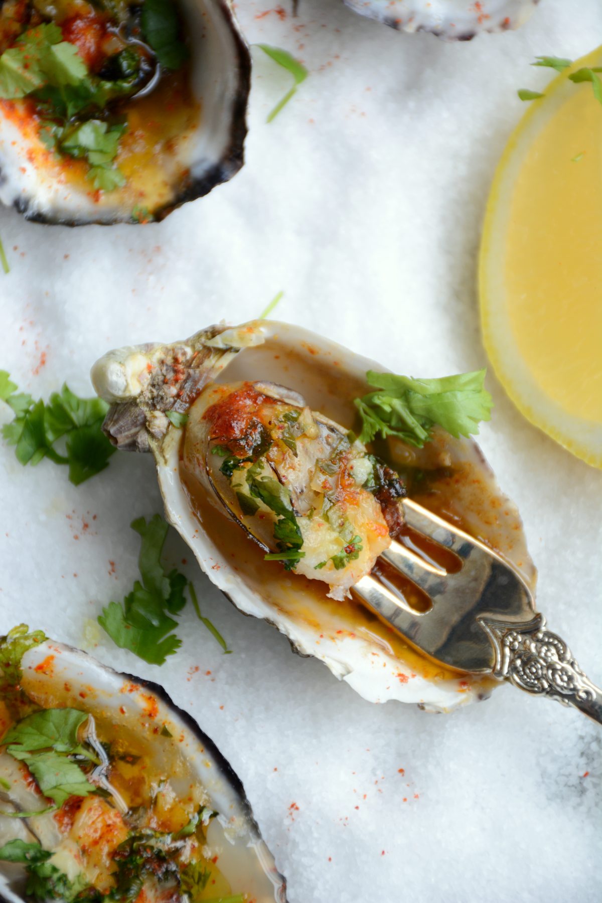 Baked Oysters with Garlic, Curry Leaf and Kashmiri Chilli - Soft, plump and juicy oysters are oven baked with a garlic and curry leaf butter emulsion, coriander leaves and Kashmiri chilli powder - thespiceadventuress.com