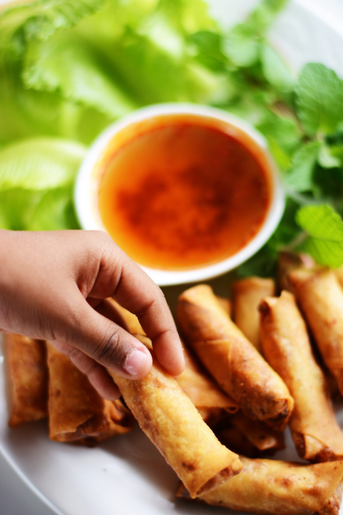 Vietnamese Prawns Spring Rolls - The ultimate party snack for kids and adults alike - thespiceadventuress.com