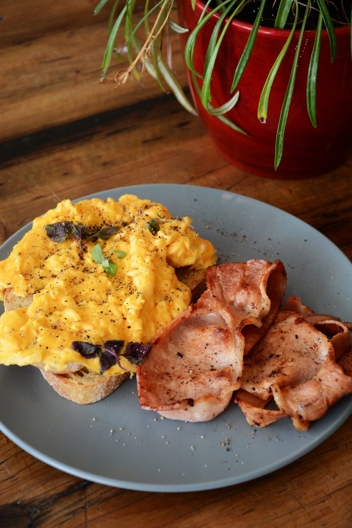 Scrambled Eggs on Toast with a side of bacon at the The Foodrinkery, Burwood (Melbourne) – a Review - thespiceadventuress.com
