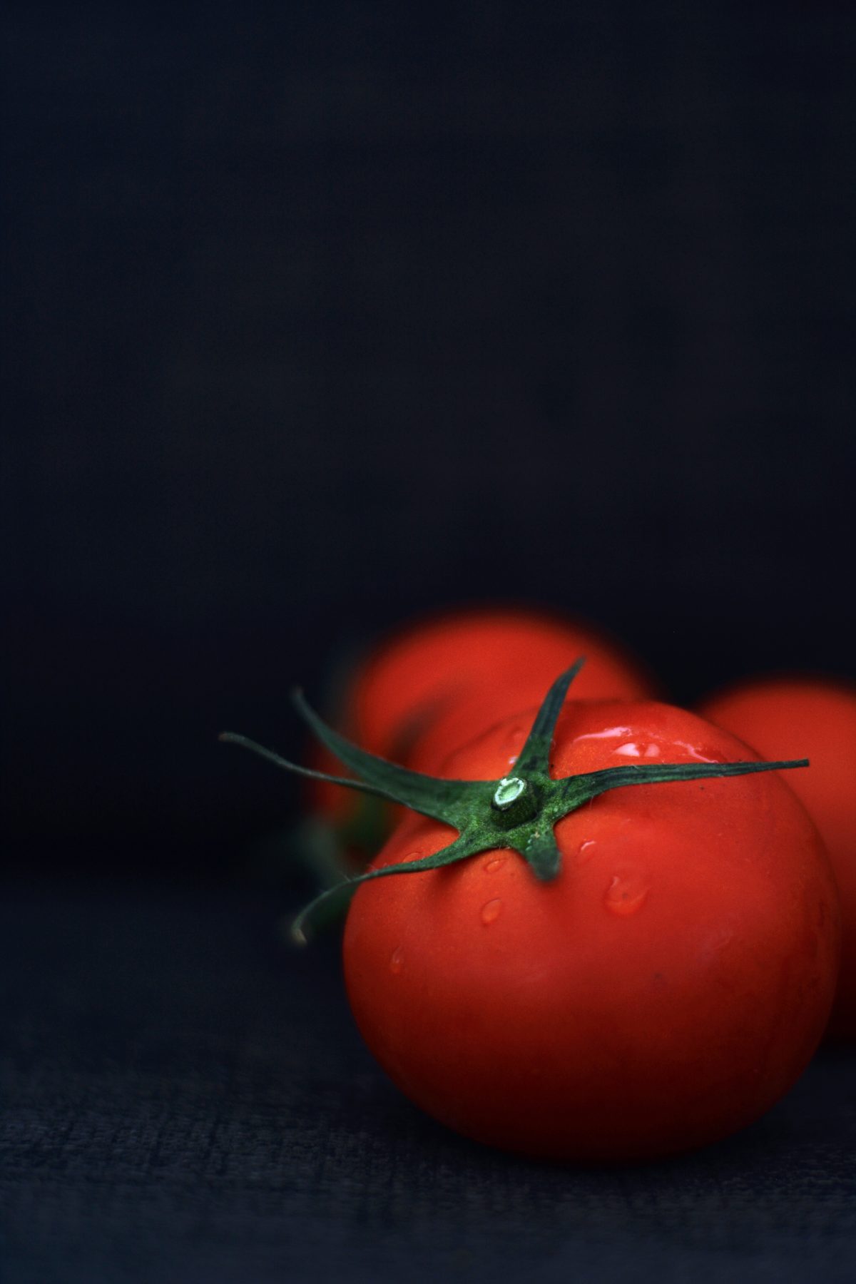 Fresh Tomatoes - food photography - thespiceadventuress.com