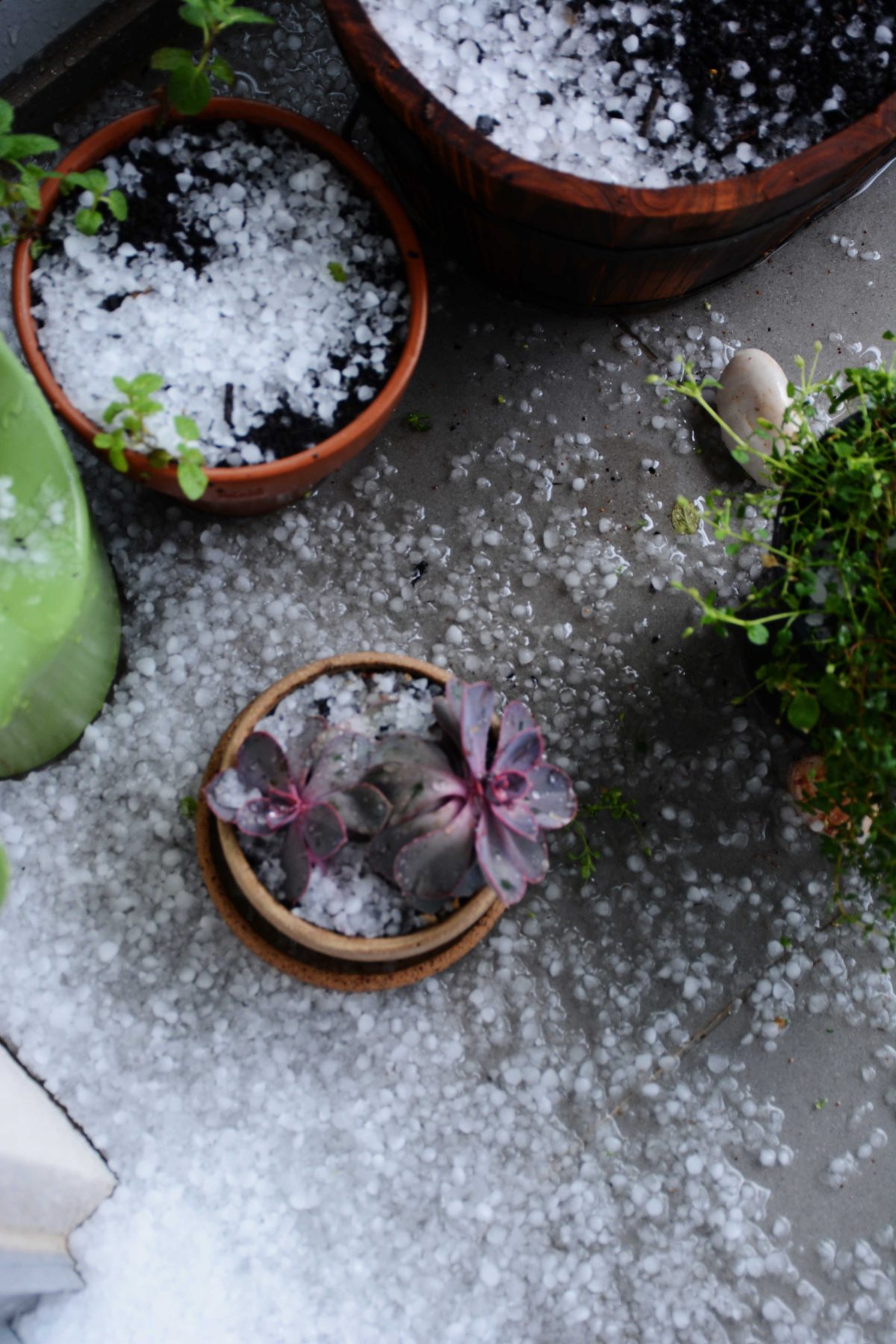 Hailstorm in Melbourne - thespiceadventuress.com