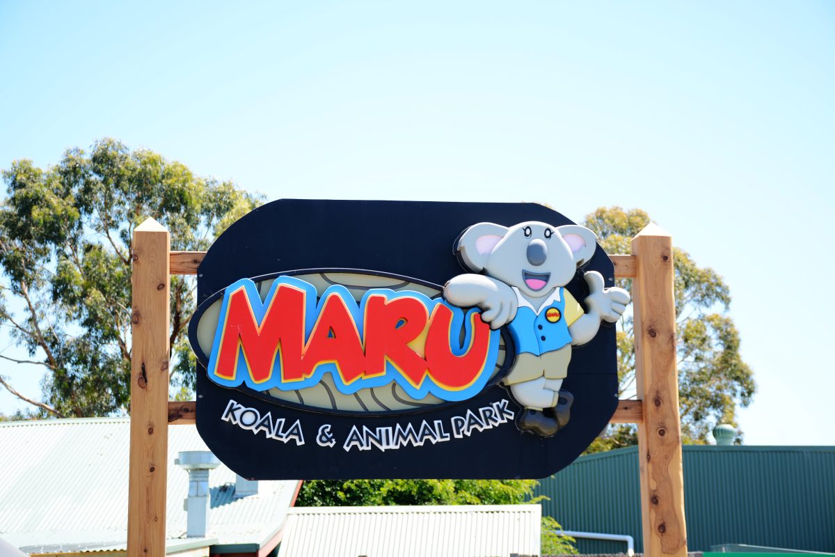 Maru Koala Park, Philip Island, Victoria - thespiceadventuress.com