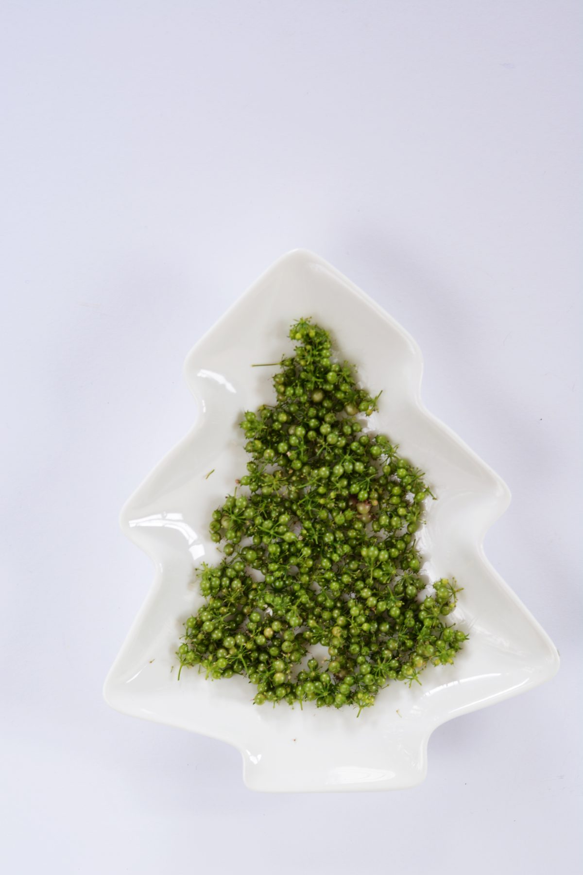 Green coriander seeds - food photography - thespiceadventuress.com
