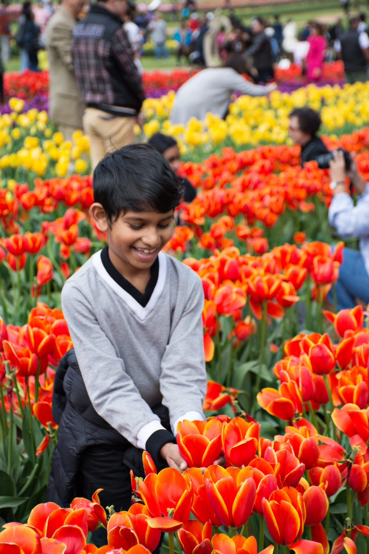 Tesselaar Tulip Festival - thespiceadventuress.com