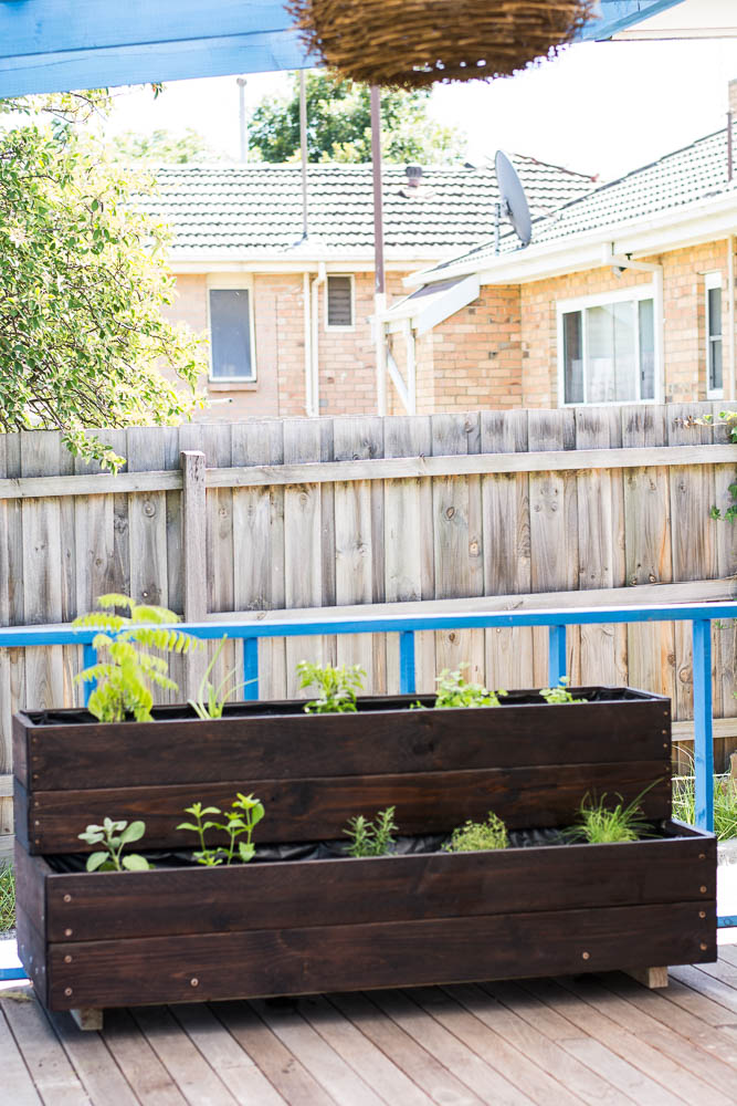 My DIY Wooden Herb Garden (using Ryobi Power Tools) - thespiceadventuress.com