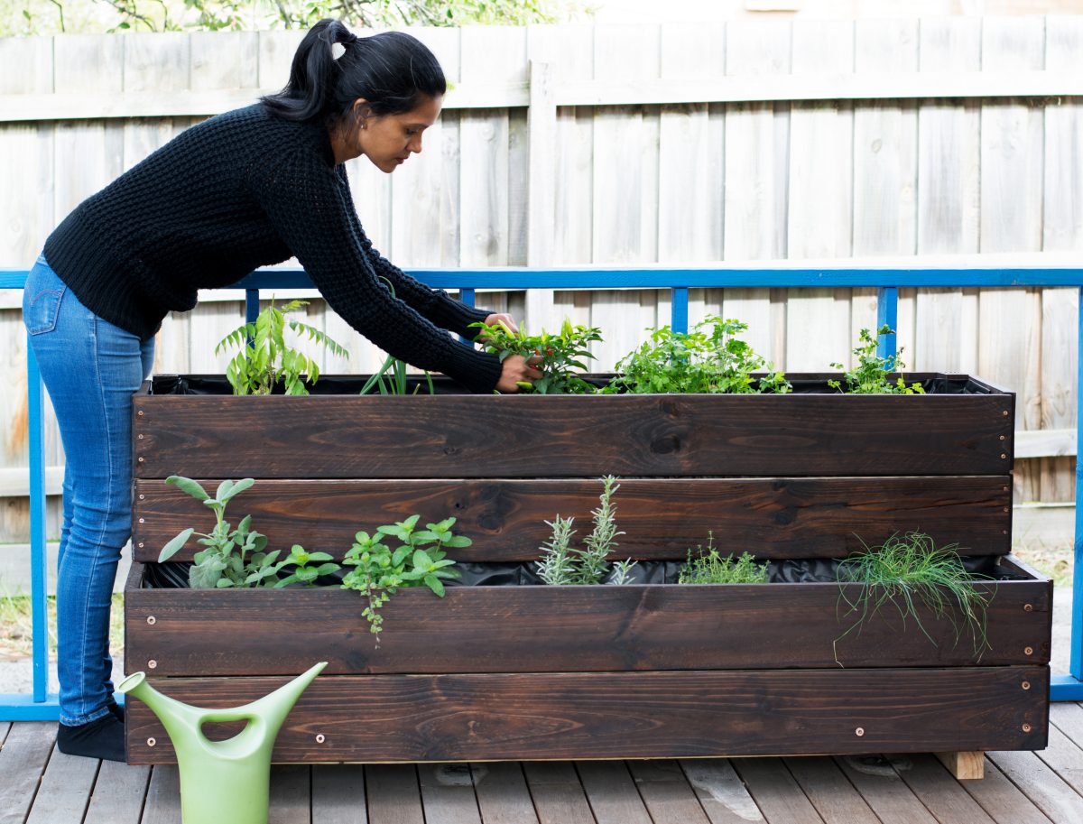 DIY Herb Garden - thespiceadventuress.com