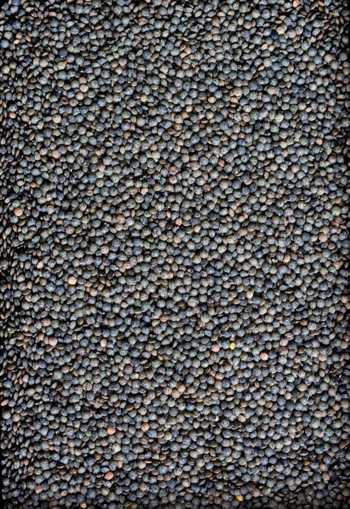 French green lentils - food photography - thespiceadventuress.com