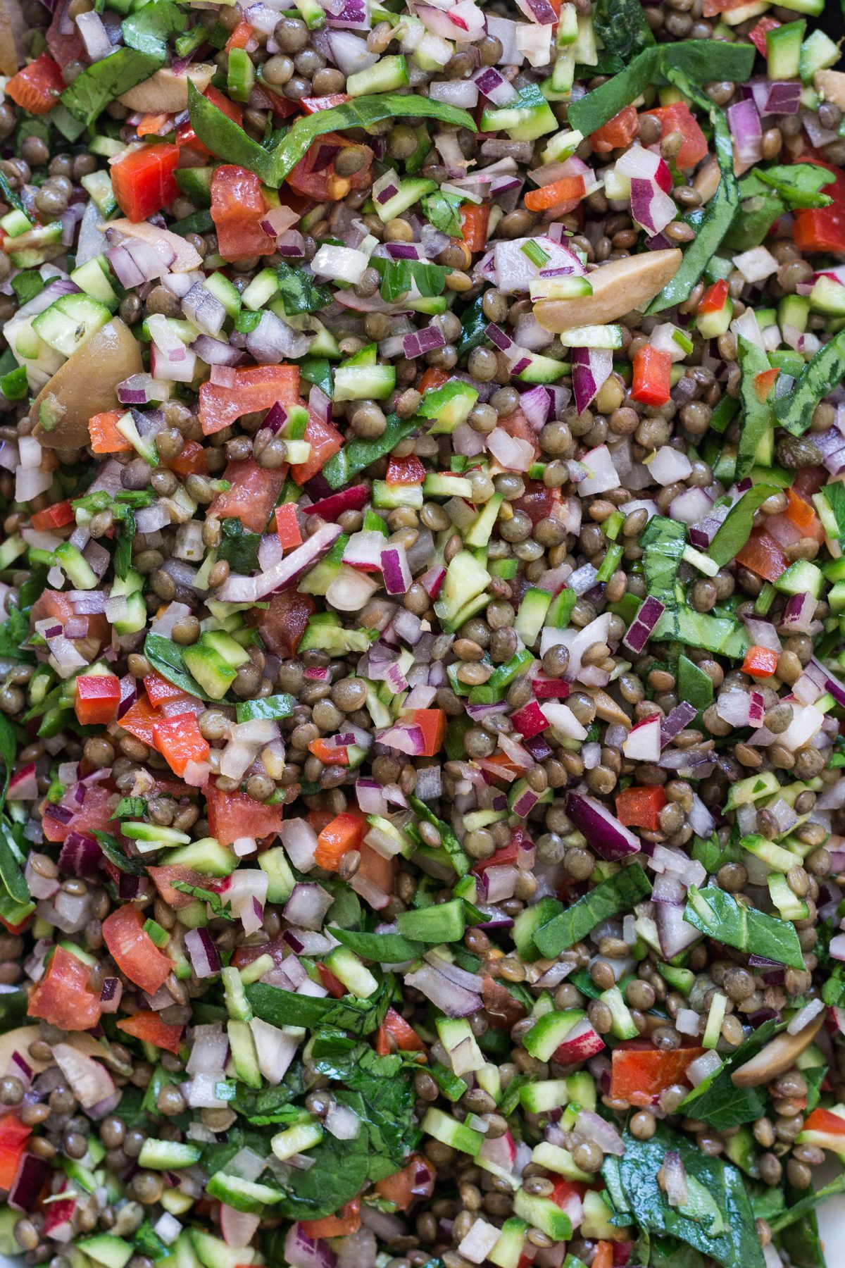 French Green Lentil Salad - thespiceadventuress.com