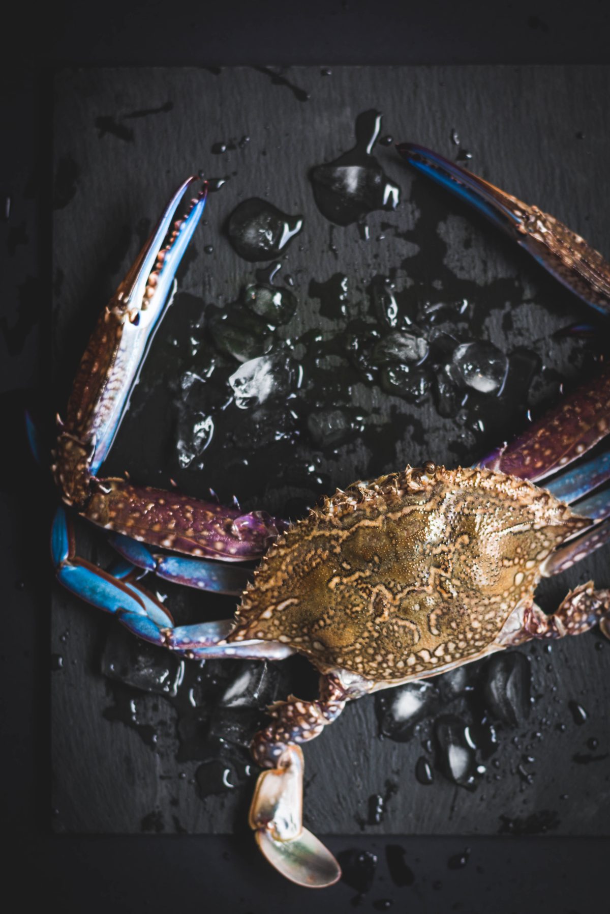 Blue swimmer crab - food photography - thespiceadventuress.com