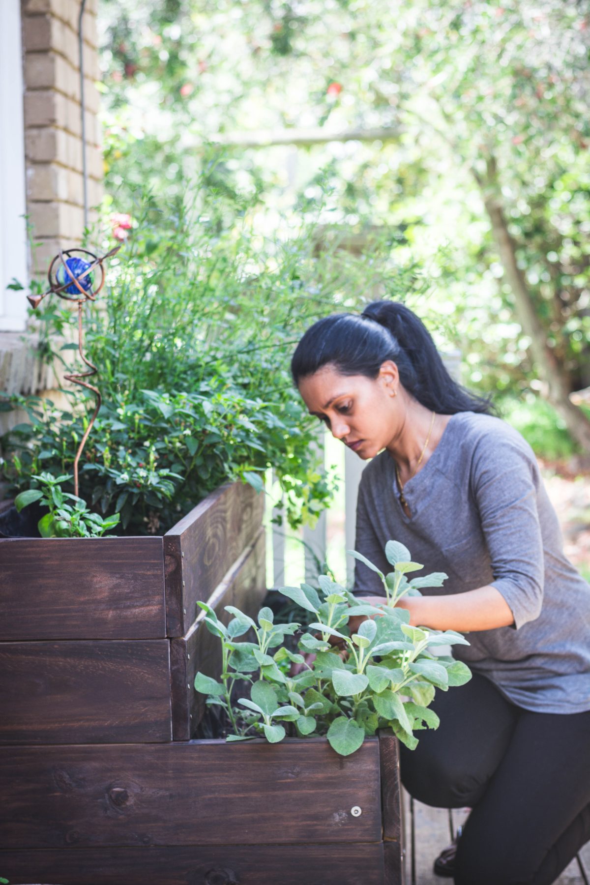 Herb garden - thespiceadventuress.com