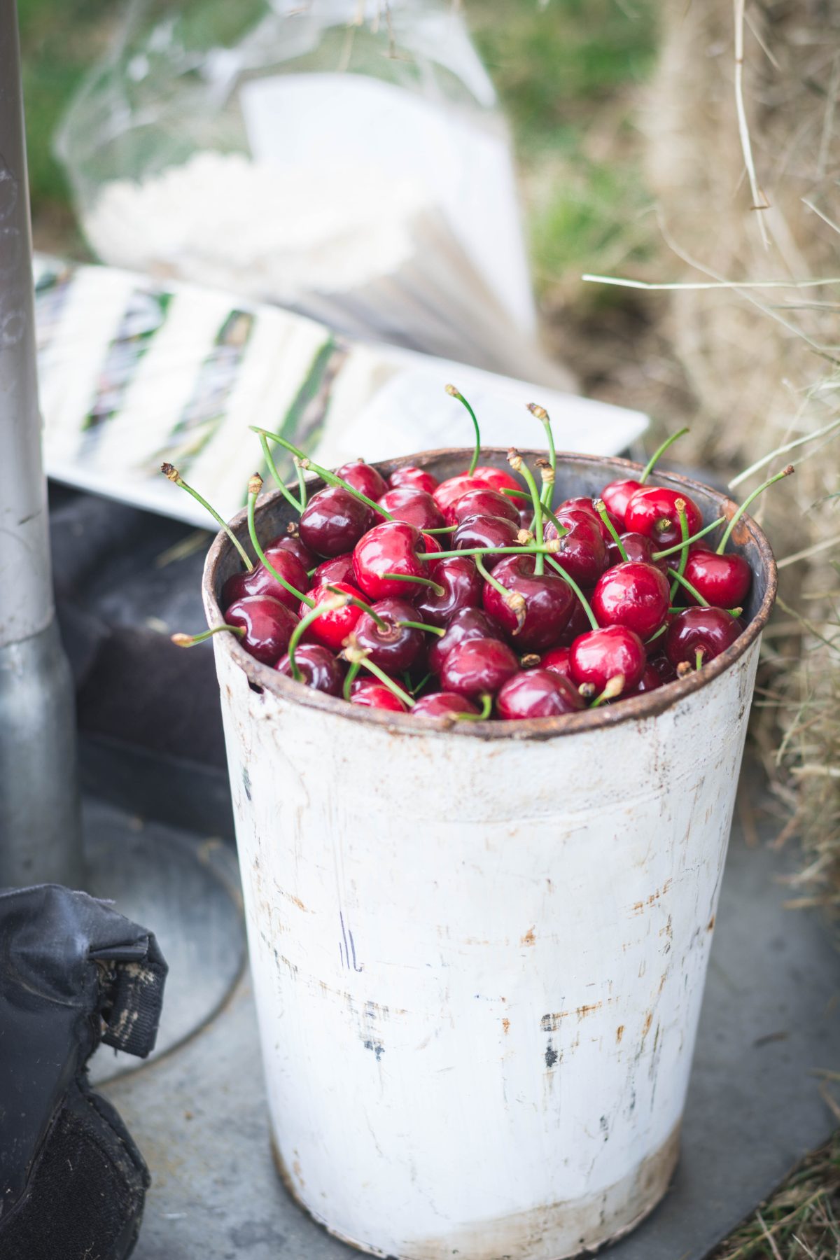 Yarra Valley Cherries - thespiceadventuress.com