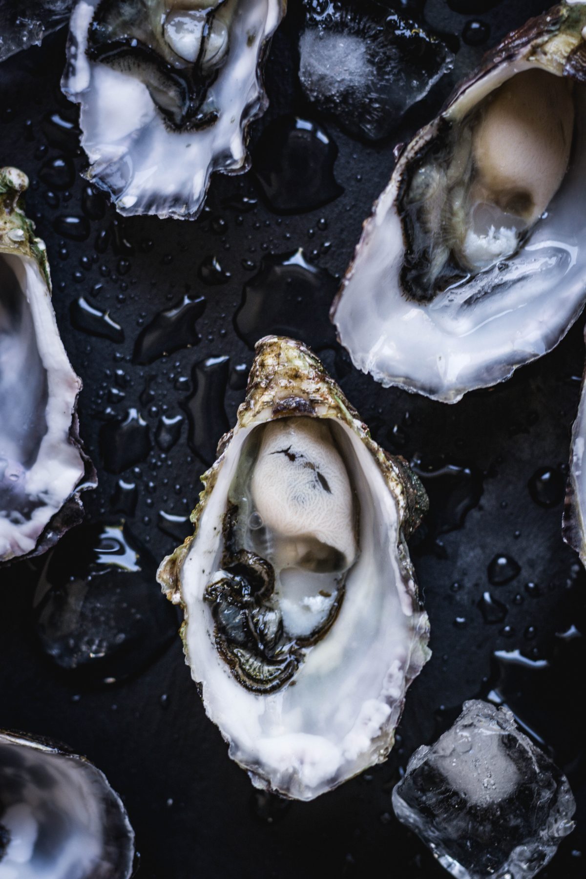 Mirka & Georges – A Culinary Affair by Lesley Harding and Kendrah Morgan (+ a recipe for Oysters roasted with Almonds and Butter)