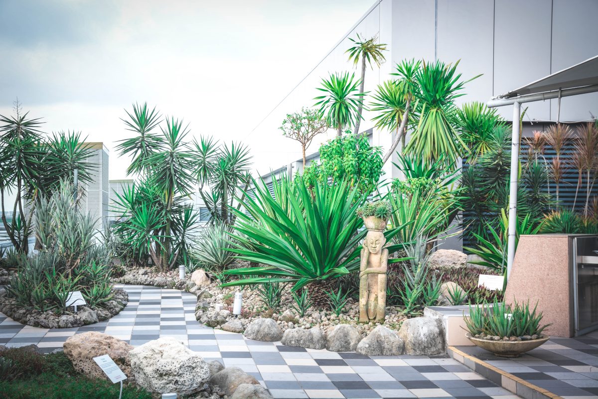 Cactus Garden, Changi airport - thespiceadventuress.com