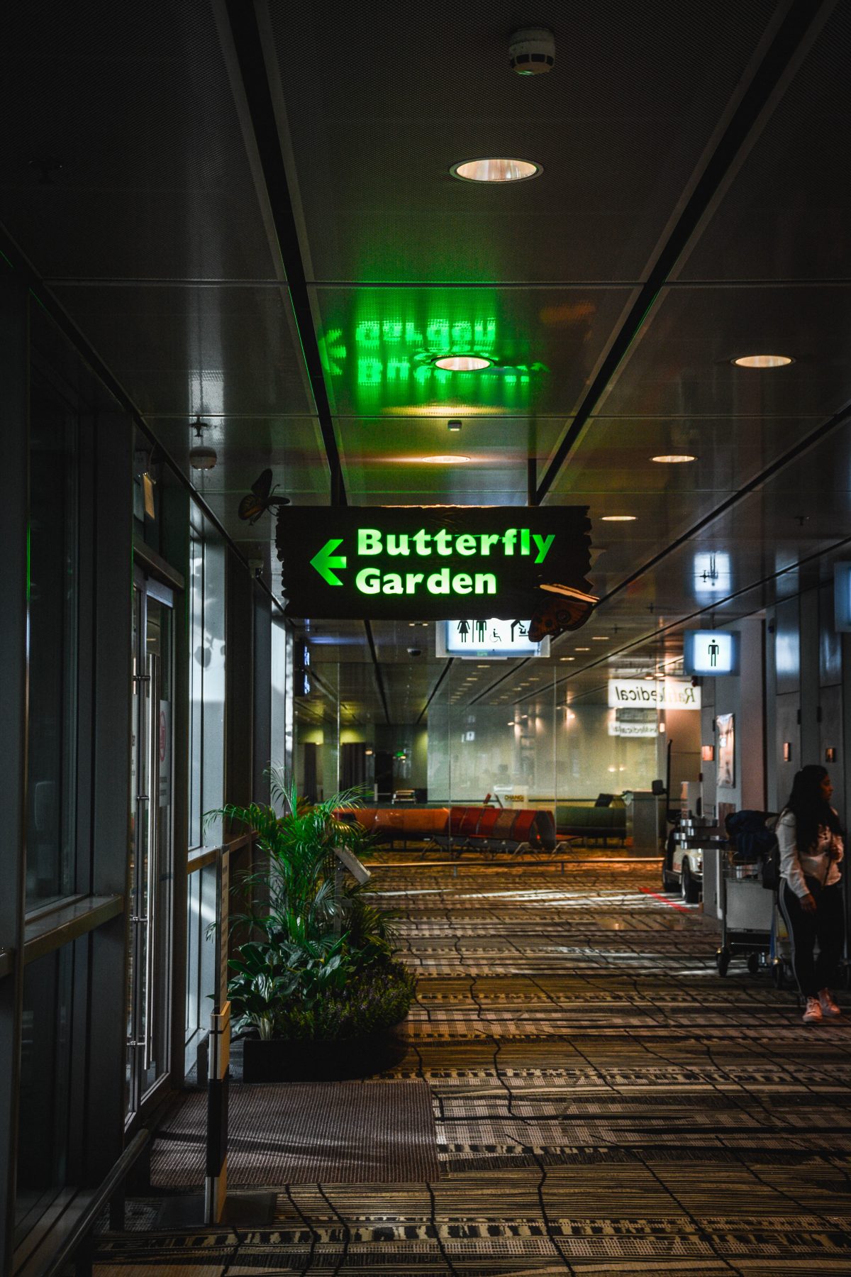 Butterfly garden, Changi airport - thespiceadventuress.com