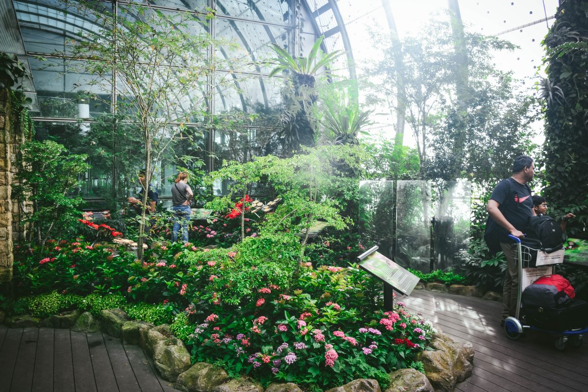 Butterfly garden, Changi airport - thespiceadventuress.com