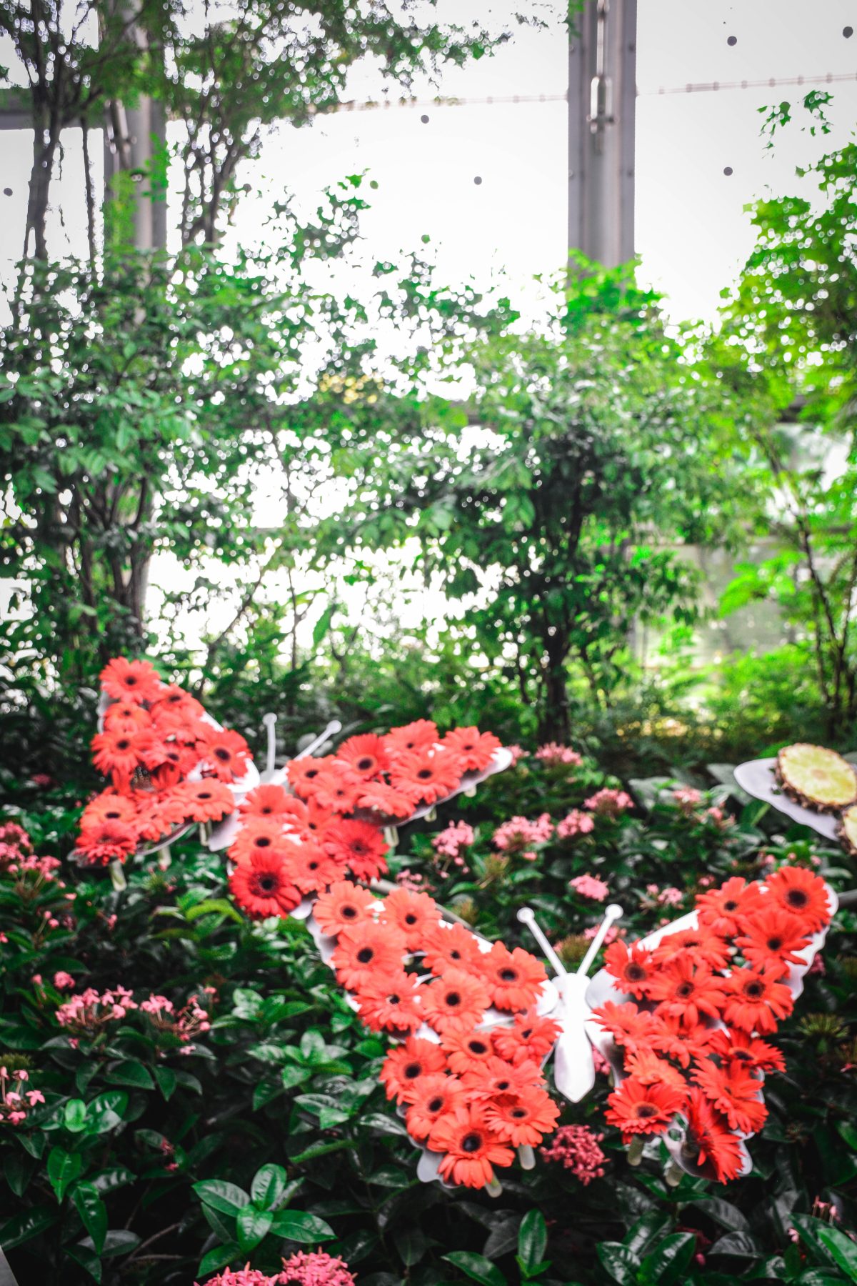 Butterfly garden, Changi airport - thespiceadventuress.com