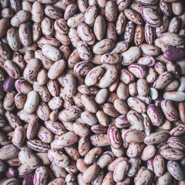 close up of borlotti beans