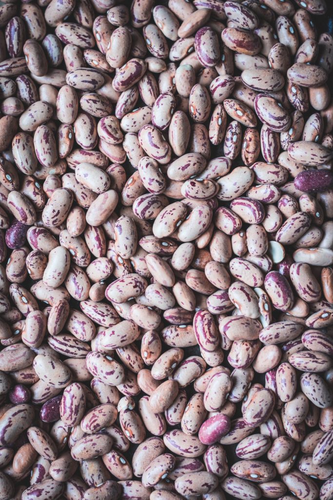 close up of borlotti beans
