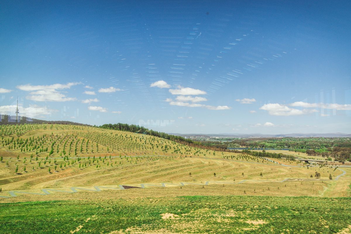 National Arboretum Canberra - thespiceadventuress.com