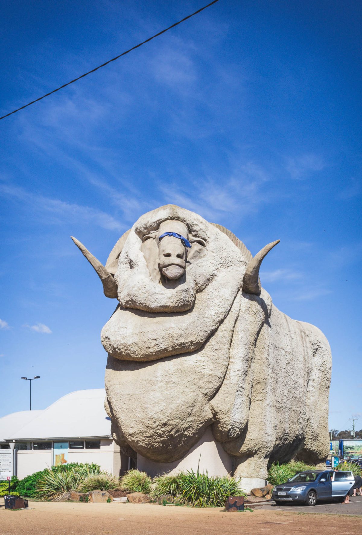 The Big Merino, Goulburn - thespiceadventuress.com