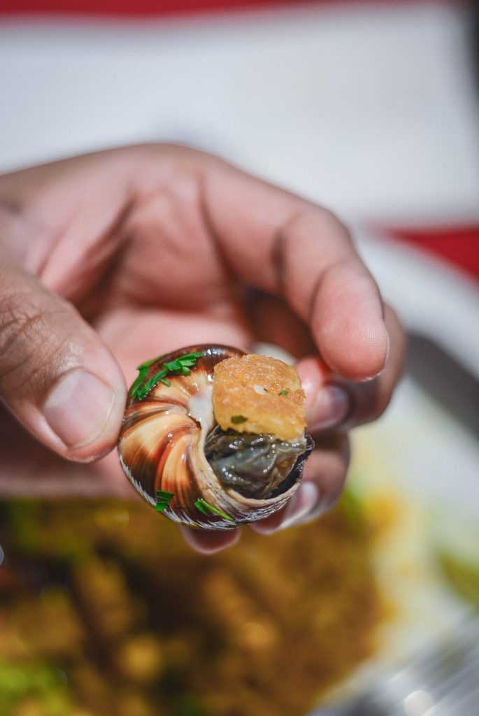 hand holding escargot in shell