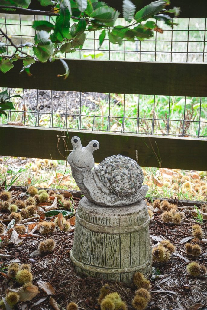 sculpture of snail in garden