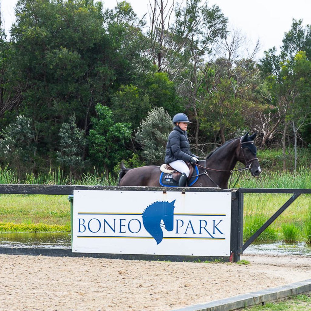 black horse with rider near sign board