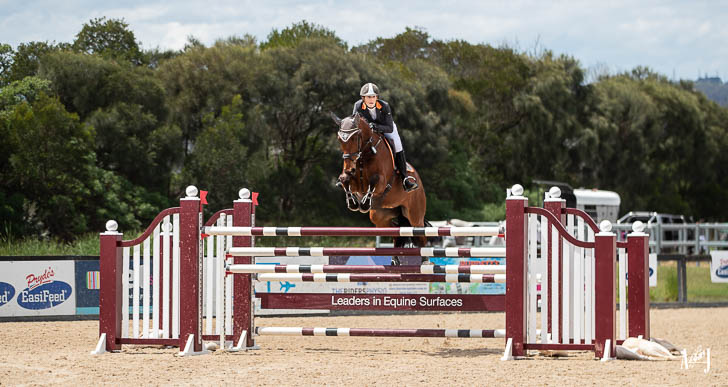 brown horse with jockey showjumping