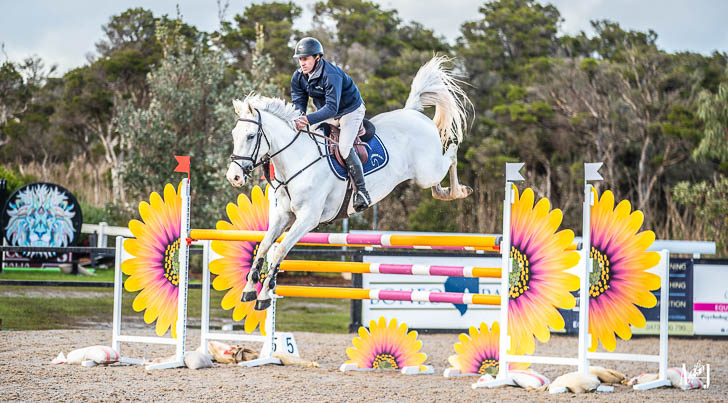 white horse with jockey show jumping