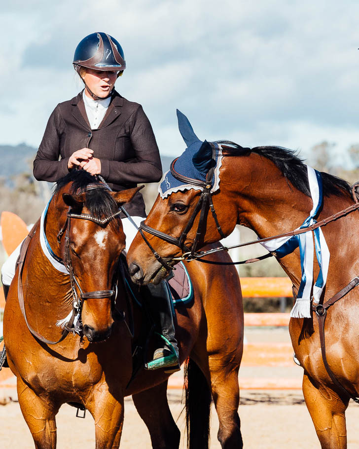 two horses and one jockey