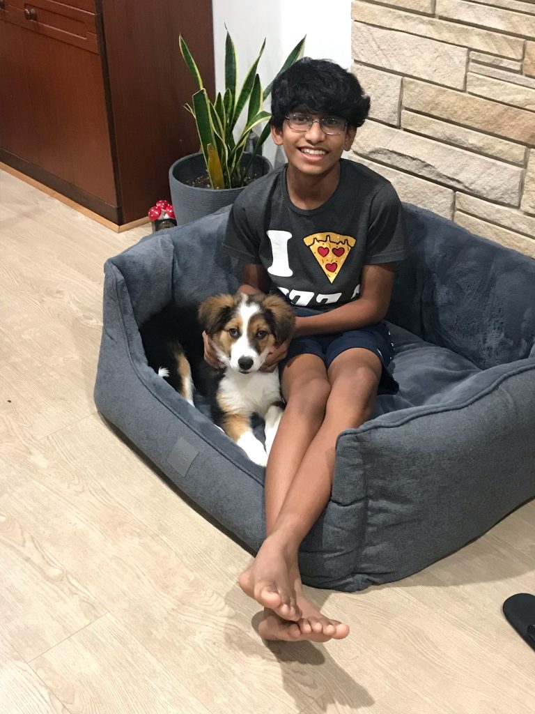 teen boy with border collie puppy